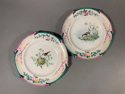 SCEAUX Two earthenware plates
With polychrome decoration of poultry