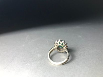 null 750 thousandths white gold ring set with an oval emerald in a circle of small...