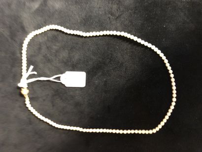 null Collier de semence de perles rehaussé d'un fermoir en or perlé 750°/°°
PB. 6.44...
