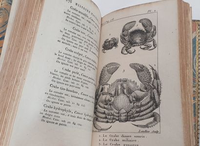 BUFFON (Georges-Louis Leclerc, comte de). Histoire naturelle. Paris, De l'Imprimerie...