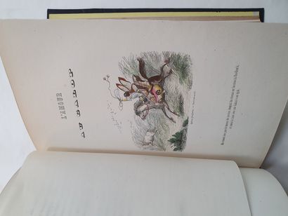 OLD NICK et GRANDVILLE. Petites misères de la vie humaine. Paris, Fournier, 1843....