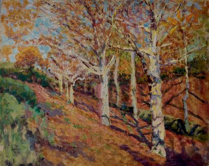 Victor CHARRETON, 1864-1936 Arbres en automne
Huile sur carton
Signé en bas à droite
33...