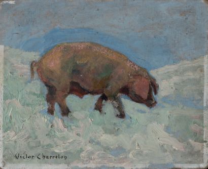 Victor CHARRETON, 1864-1936 Cochon
Huile sur carton
Signé en bas à gauche 17,5 x...