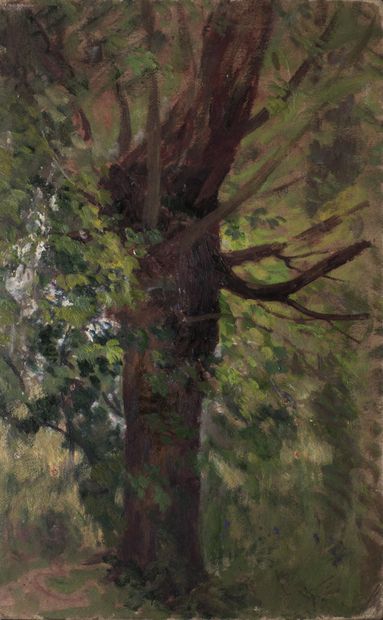 Victor CHARRETON, 1864-1936 Maison dans la forêt - Arbre
Huile sur carton double...