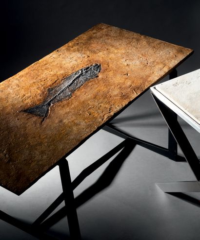 null Fossilized stone coffee table with a fish on a metal base.
Green River Formation...