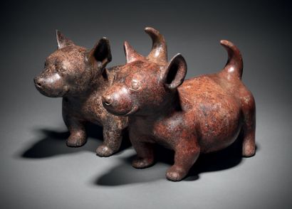 TWO ACCOMPLICATED DOGS Colima culture, Western...