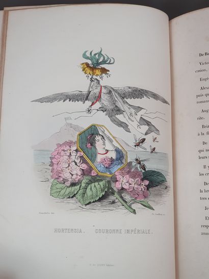 null GRANDVILLE. Les Fleurs animées. Paris, Gabriel de Gonet, 1847. 2 tomes en un...