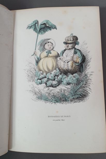 null NUS (Eugène) et Anthony MÉRAY. L Empire des légumes. Mémoire de Cucurbitus Ier....