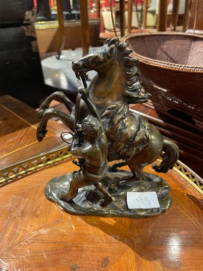 null 
After Guillaume COUSTOU

Horse of Marly

In patinated bronze
