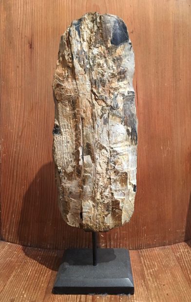 Piece of petrified wood Mounted on a base H. 46 cm with base 