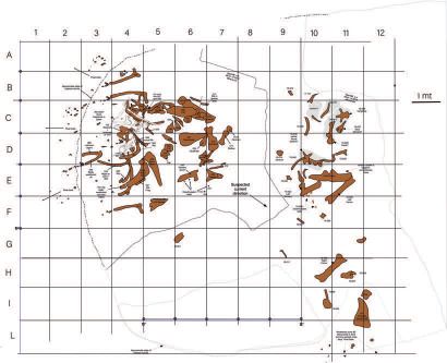 null 
Big John



Triceratops horridus



Upper Hell Creek Formation



Maastrichtian,...