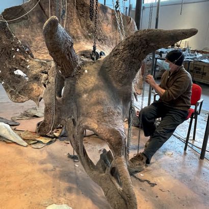  Big John Triceratops horridus Upper Hell Creek Formation Maastrichtian, Upper Cretaceous...