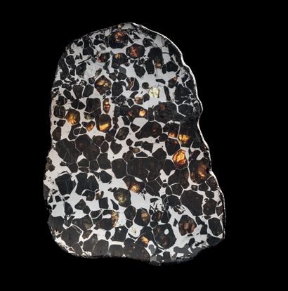 Pallasites are sliced to reveal their great...