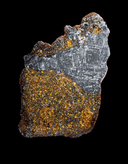  Very large slab of pallasite H. 11 in - L. 16 1/2 in Impressive pallasite of very...