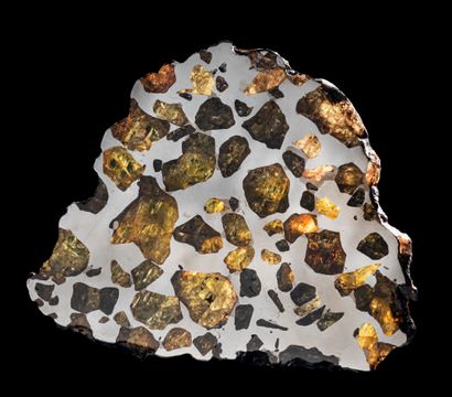  Imilac Palassite H. 2 31/32 in - L. 3 3/4 in - P. 1/8 in Imilac is a superb pallasite...