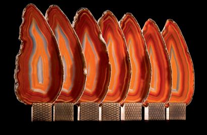 null Serie of 7 golden Agate slices
H. 6 5/16 in - W. 7 3/4 in
This strange sculpture...