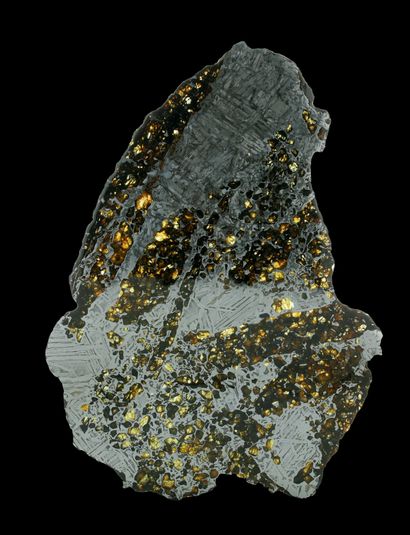 null Very large slab of pallasite
H. 14 3/16 in - L. 9 27/32 in - P. 1/8 in
Impressive...