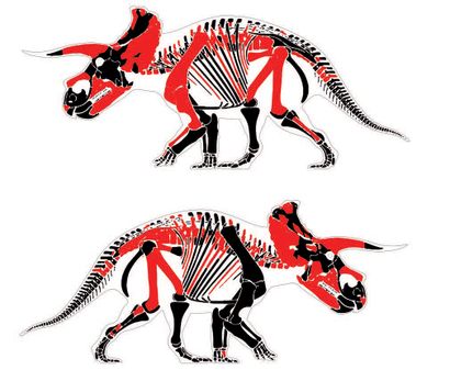 null 
Big John

Triceratops horridus

Formation de Hell Creek, section supérieure

Maastrichtien,...