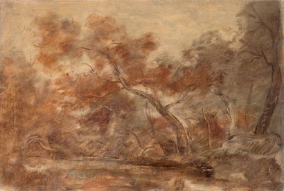 Théodore ROUSSEAU (1812-1867) View of an undergrowth Oil on paper 26 x 38 cm A certificate...