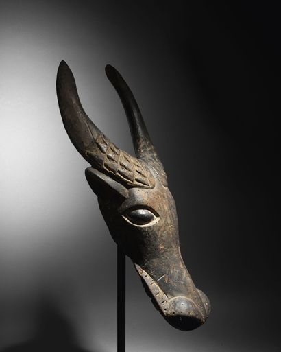  Masque de buffle Yamfun, Cameroun Bois H. 66 cm Yamfun buffalo mask, Cameroon H....