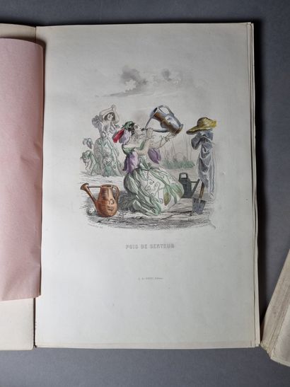 null GRANDVILLE. Les Fleurs animées. Paris, Gabriel de Gonet, 1847. 2 volumes in-8,...