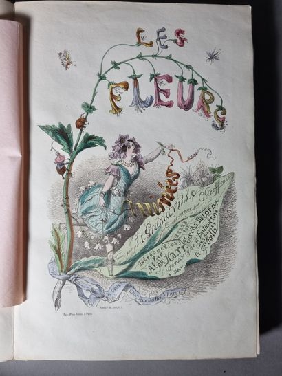 null GRANDVILLE. Les Fleurs animées. Paris, Gabriel de Gonet, 1847. 2 volumes in-8,...