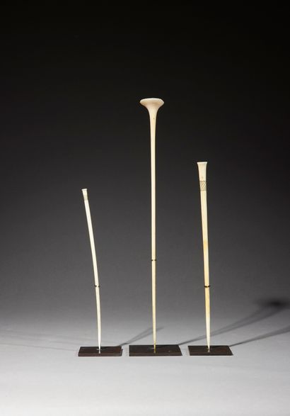 null Three Mangbetu hairpins

Congo DRC

Ivory

H. 19.5 to 30 cm



Set of three...