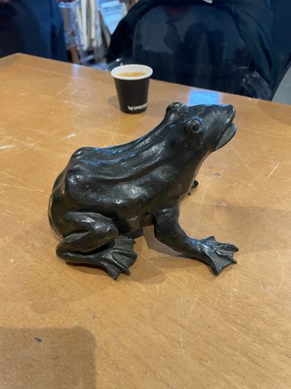 null 
Elément de fontaine

Figurant une grenouille

En bronze patiné
