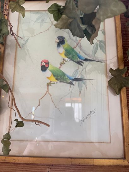 Neville William CAYLEY (1886-1950) Two birds on a branch
Watercolor on paper, signed...