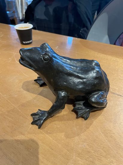 null 
Elément de fontaine

Figurant une grenouille

En bronze patiné
