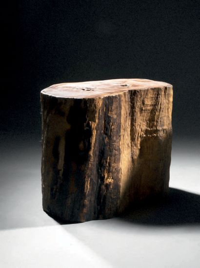 null Tronc d'arbre fossilisé formant tabouret ou table d'appoint
H. 47 cm