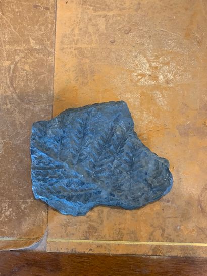 null Deux plaques fossilisées
Poisson
20 x 23 cm
Feuillage
11 x 10 cm
Provenance :
Collection...