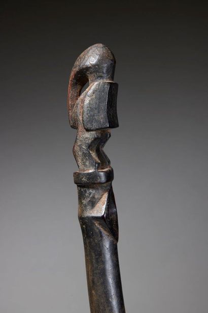 null Trompe Senoufo
Côte d'Ivoire
Bois
H. 73,5 cm
Provenance :
- Galerie Alain Lecomte
Rare...
