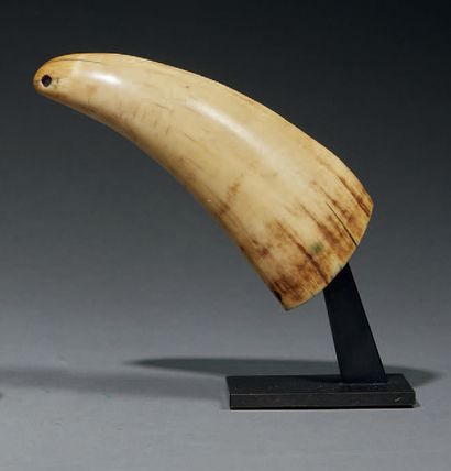 null * Pendant
Fiji
Walrus tooth
H. 13 cm
Provenance :
- Galerie Elodie Sanson
Pendant...