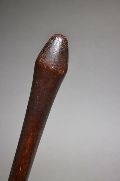 null Bâton de prêtre
Tonga
Bois
L. 115 cm
Provenance :
- Collecté entre 1826 et 1859...