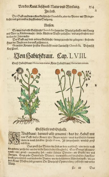 MATTIOLI, Pietro Andrea (1500-77) 
Kreutterbuch, jetzt wiederumb mit vielen schönen...