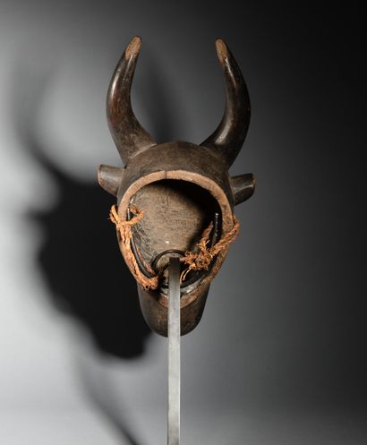 null Masque antilope, Côte d'Ivoire
Bois à patine foncé
L. 40 cm
Composée d'une longue...