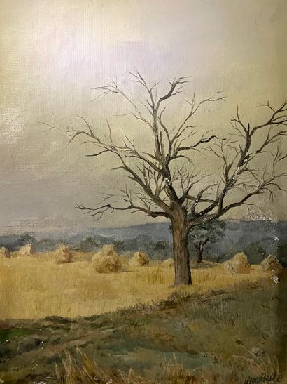 HENRI TAMBUTE (1911-1987) 
Paysage au champ de blé



Huile sur toile, signée en...