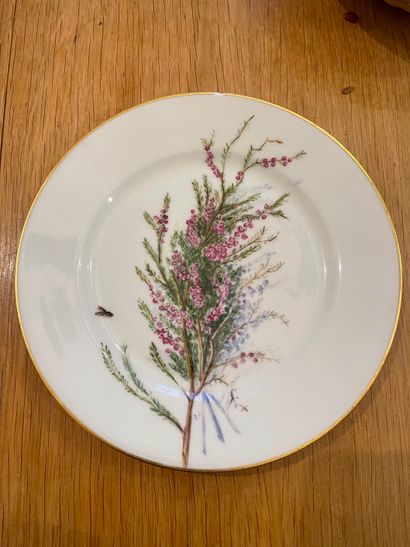 PARIS Dix assiettes en porcelaine à décor polychrome de branches fleuries et insectes
XIXe...
