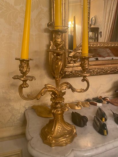 null Paire de candélabres à trois bras de lumière en bronze moulé doré
Décor rocaille
XXe...