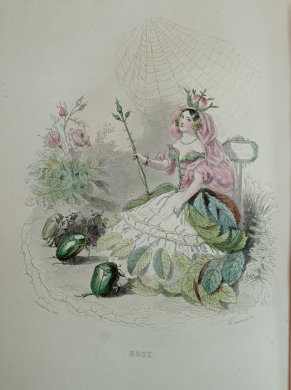 GRANDVILLE. Les Fleurs animées. Paris, Gabriel de Gonet, 1847. 2 volumes in-8, broché,...