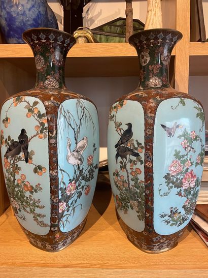 JAPON, époque Meiji (1868-1912) Paire de vases en cloisonné
A décor en réserve d'oiseaux...