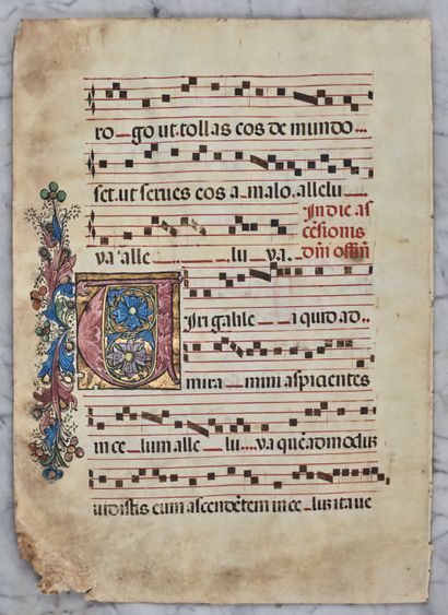  Page d'antiphonaire, folio CCII, enluminée sur parchemin à décor au verso de l'initiale...