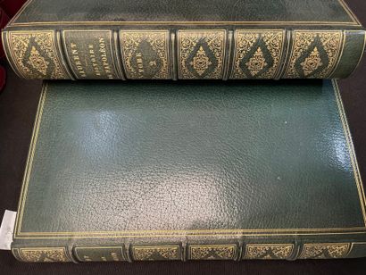 LAURENT DE L'ARDÈCHE Napoléon.
2 volumes (en l'état)