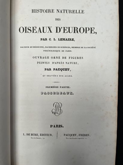 LEMAIRE Oiseaux d'Europe 1 volume
En l'état