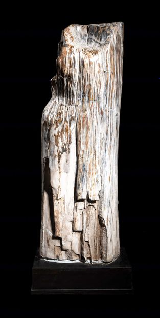 null 
GIANT FOSSIL WOOD

Java, Indonesia

H. 51 ¼ in - W. 16 ¼ in



Fossilization...