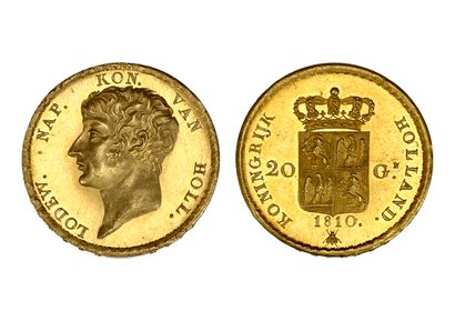 MONNAIES NAPOLÉONIENNES ROYAUME de HOLLANDE : Louis Napoléon (1806-1810)

20 gulden...