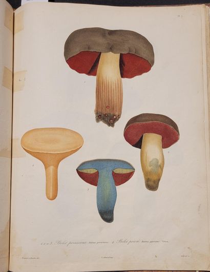 ROQUES (Joseph). Histoire des champignons comestibles et vénéneux, Où l'on expose...