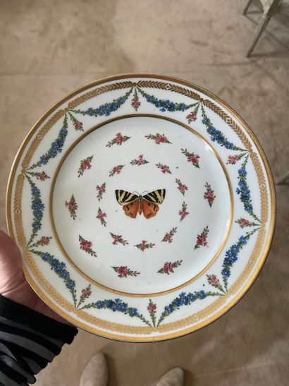 Sèvres Assiette en porcelaine à décor polychrome de semis de fleurettes autour d'une...