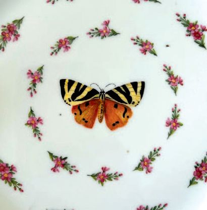 Sèvres Assiette en porcelaine à décor polychrome de semis de fleurettes autour d'une...